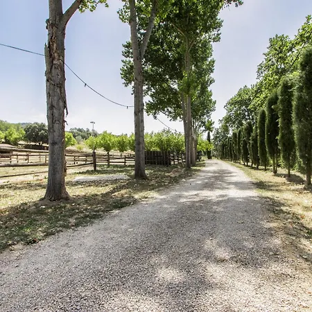 Nuestro Antiguo Pajar * Solsona